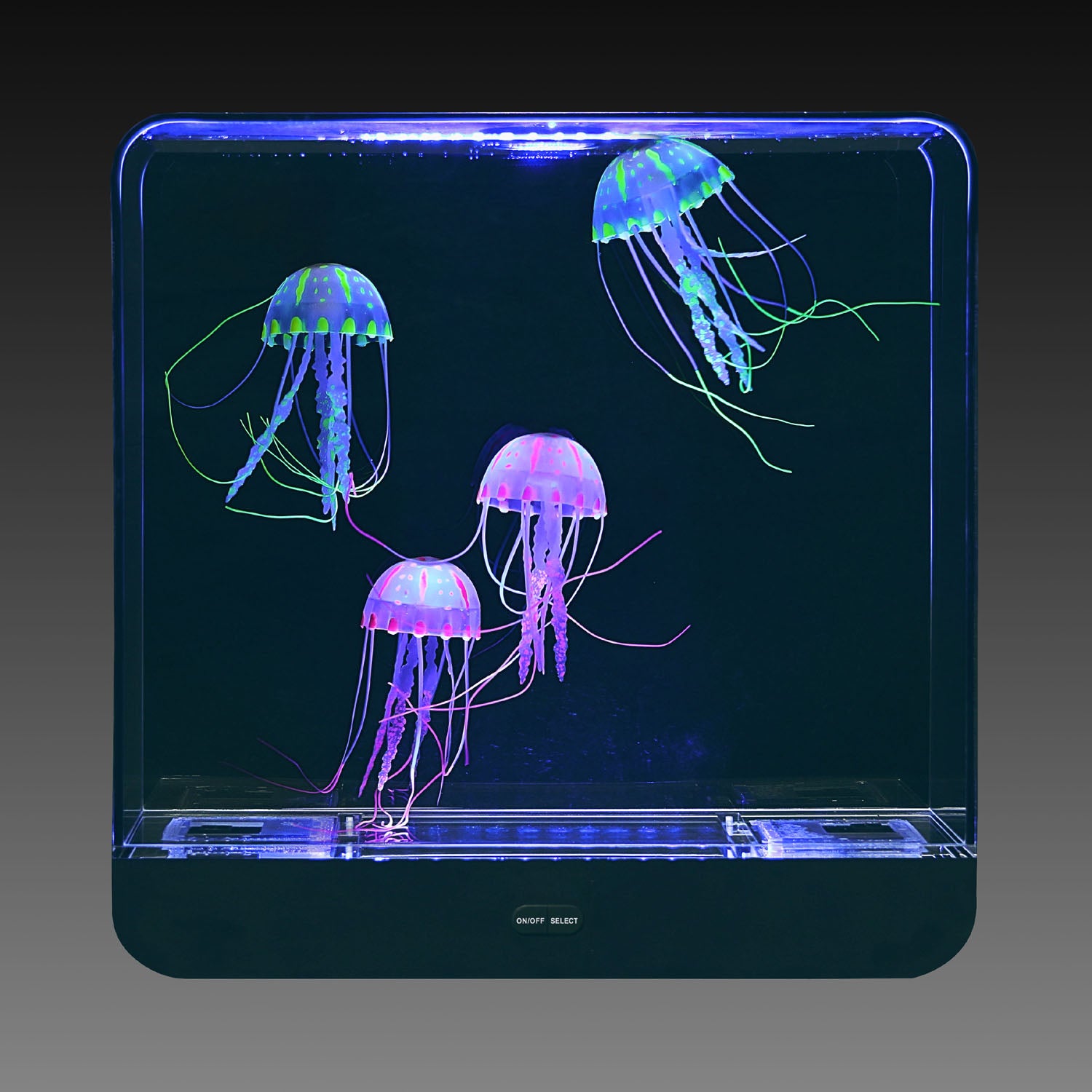 Jellyfish fish tank best sale